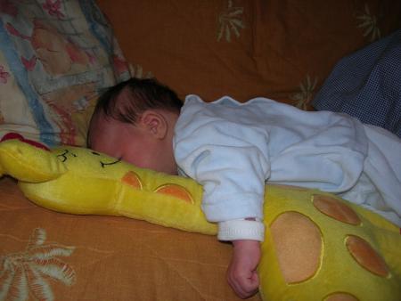 Mon ennemie la girafe