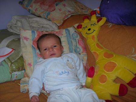 Mon amie la girafe